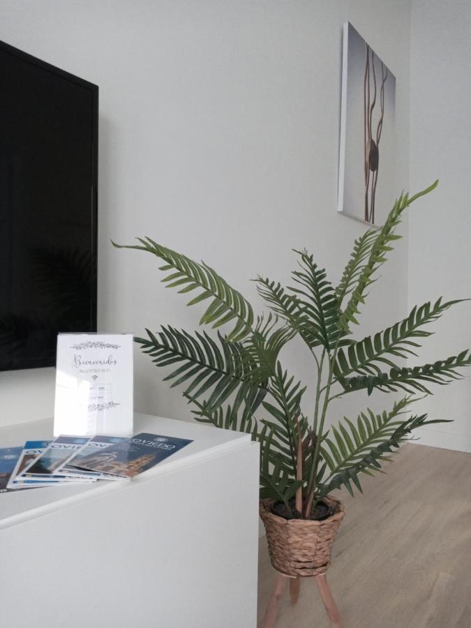Appartement La Terraza De La Vega - Ubicacion Inmejorable , Wifi , Terraza Y Parking Gratuito Oviede