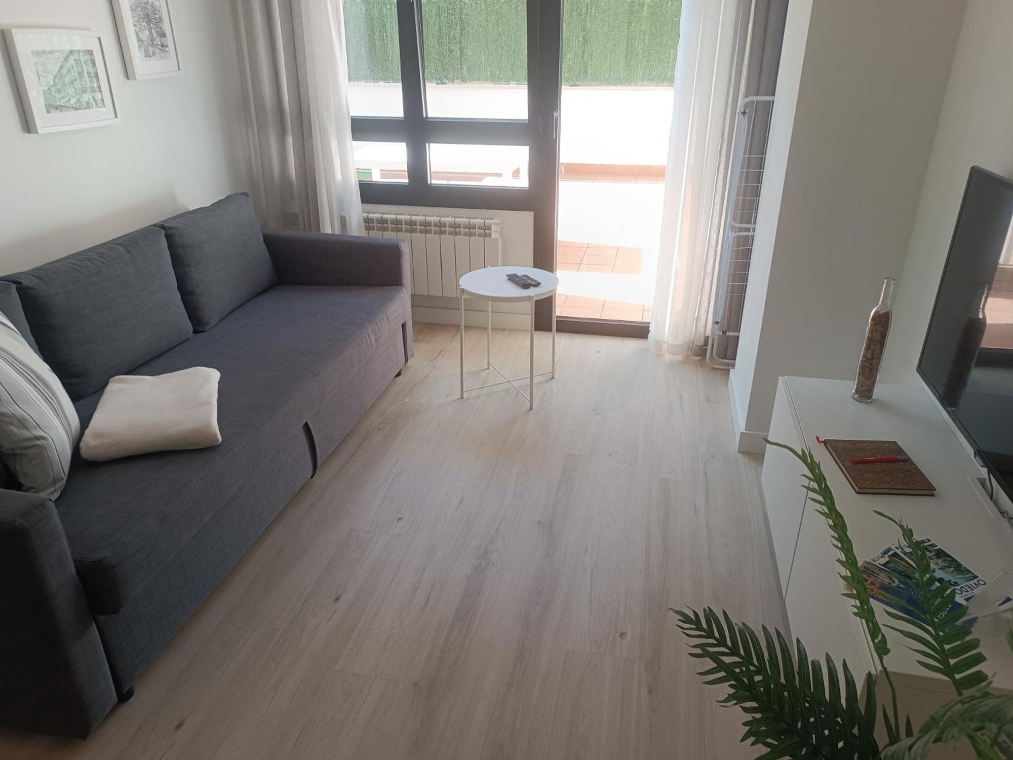 La Terraza De La Vega - Ubicacion Inmejorable , Wifi , Terraza Y Parking Gratuito * Oviede
